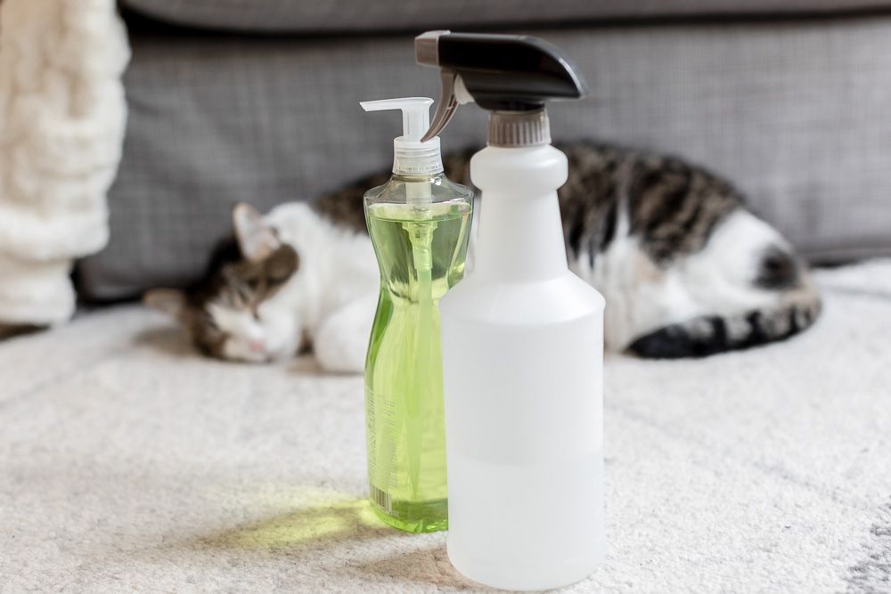 Bottle of yellow dish sop next to spray bottle in front of sleeping cat to prevent fleas