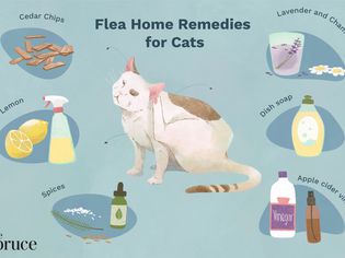 9 Natural Flea Treatments for Cats
