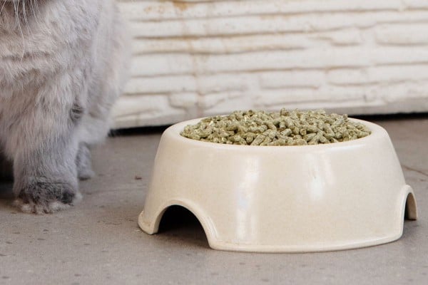closeup of rabbit pellets