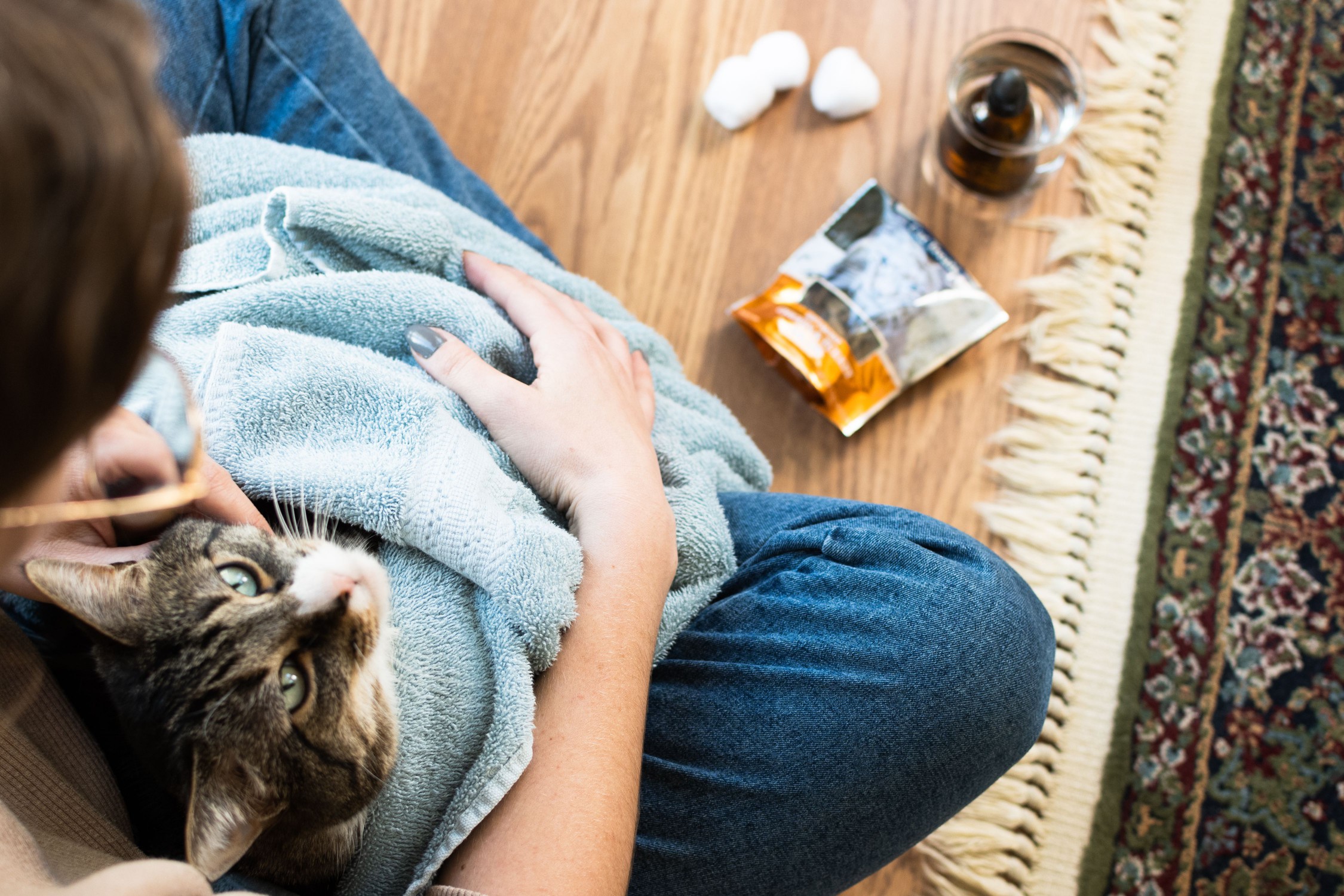 Brown cat wrapped in blue towel