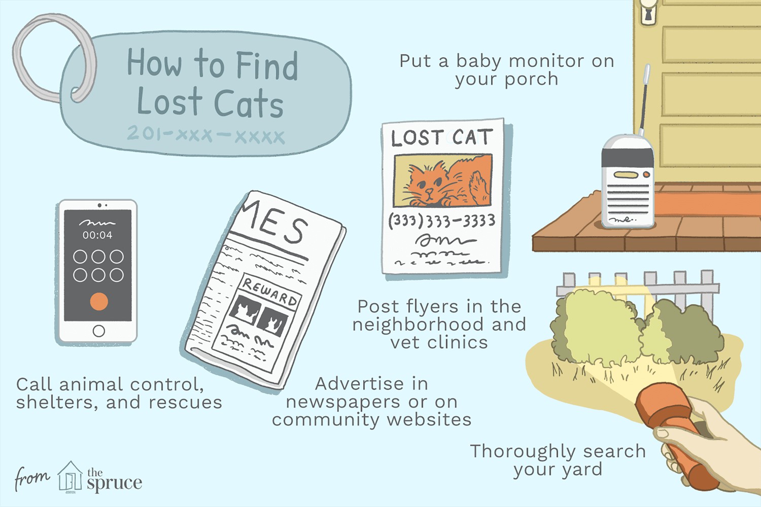 How to Find Lost Cats