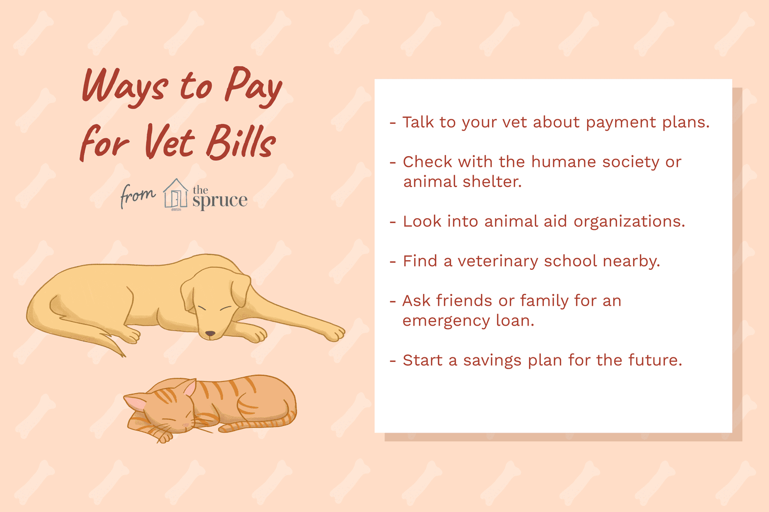 illustration of ways to pay vet bills