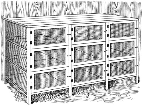 PLATE 9 PLATE 9