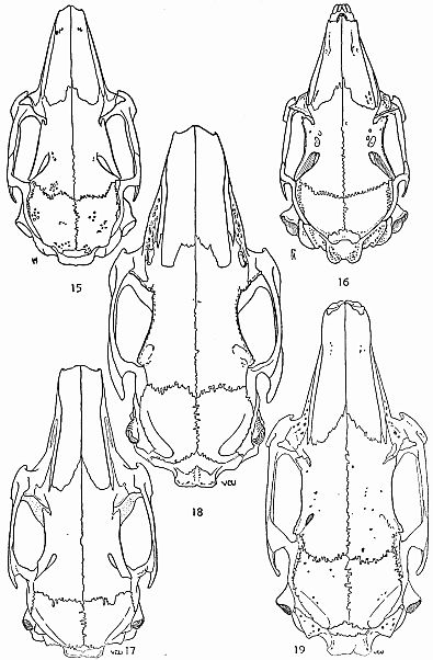 Show larger image of figures 15 to 19.