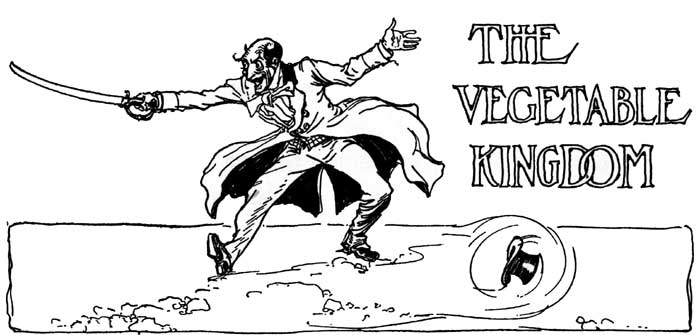 THE VEGETABLE KINGDOM
