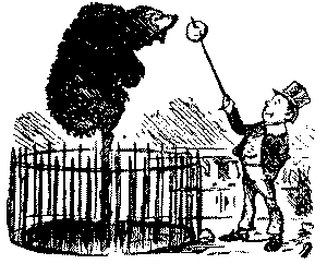 Bear up a pole taking a bun.