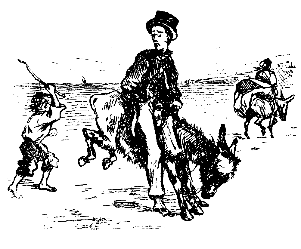 Mr. Punch cartoon