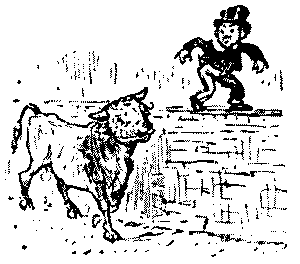 Boy walking on top of a wall with bull below.