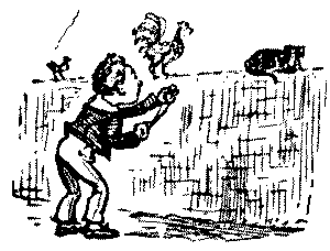 Boy shooting at cat and fowl.