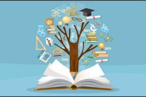 From Theory to Practice: Exploring the Benefits of Vocational and Technical Education