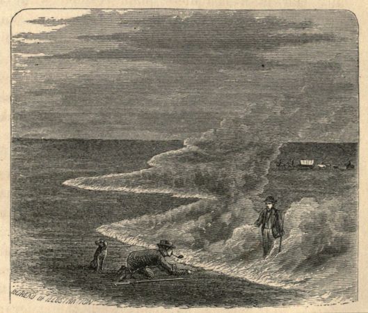FIRE ON THE PLAINS. FIRE ON THE PLAINS.