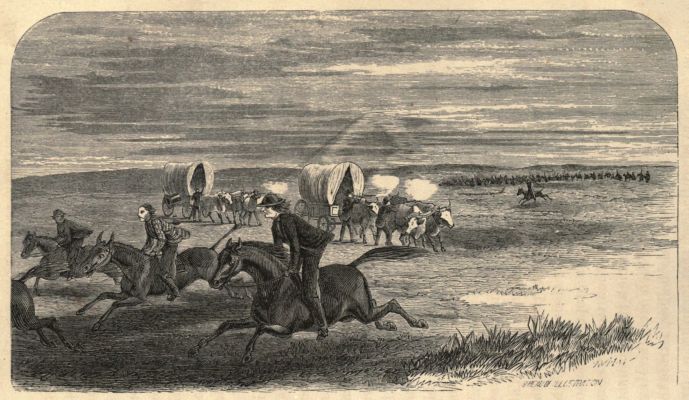 OUR HORSES RUN AWAY WITH US. OUR HORSES RUN AWAY WITH US.