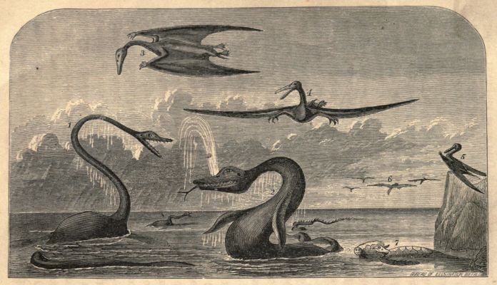 THE SEA WHICH ONCE COVERED THE PLAINS. THE SEA WHICH ONCE COVERED THE PLAINS.