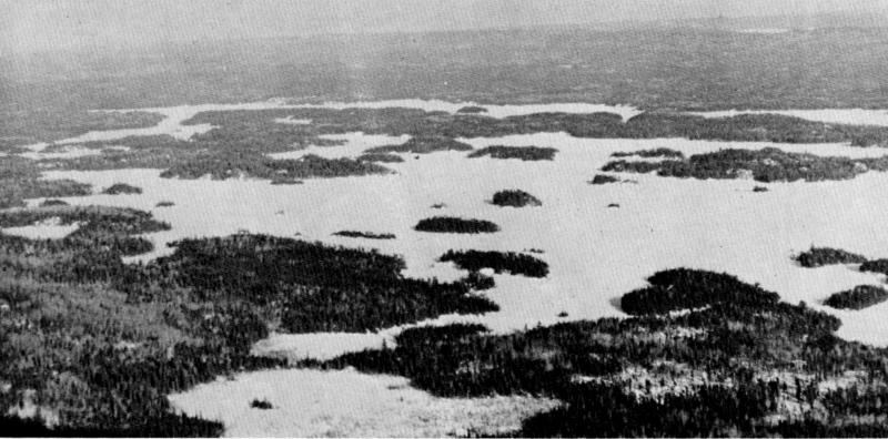Figure 2.—Lakes are common throughout most of the study area. (Photo courtesy of L. D. Mech.) Figure 2.—Lakes are common throughout most of the study area. (Photo courtesy of L. D. Mech.)