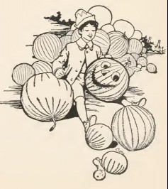 image017