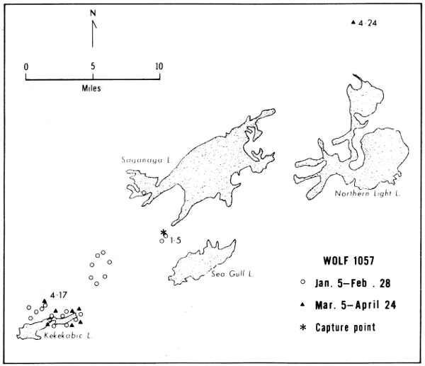 Figure 23.—Locations and range of wolf 1057. Only selected lakes are shown. Figure 23.—Locations and range of wolf 1057. Only selected lakes are shown.