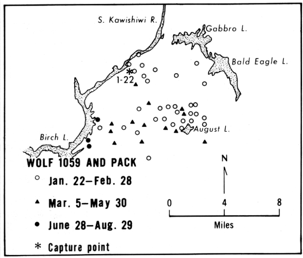 Figure 24.—Location and range of wolf 1059 and pack. Only selected lakes are shown. Figure 24.—Location and range of wolf 1059 and pack. Only selected lakes are shown.