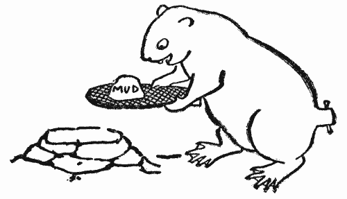 Beaver using his Tail as a Trowel Beaver using his Tail as a Trowel