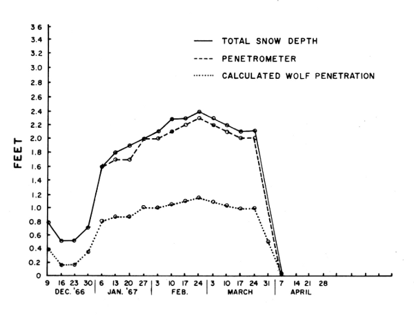 Figure 1.—Snow depth and penetrability by deer and wolves near Isabella, Minnesota, 1966-67. Figure 1.—Snow depth and penetrability by deer and wolves near Isabella, Minnesota, 1966-67.