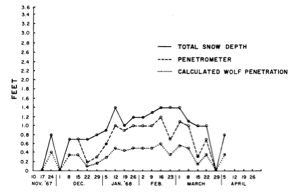 Figure 2.—Snow depth and penetrability by deer and wolves near Isabella, Minnesota, 1967-68. Figure 2.—Snow depth and penetrability by deer and wolves near Isabella, Minnesota, 1967-68.
