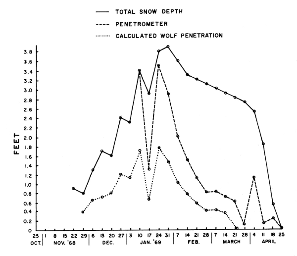 Figure 3.—Snow depth and penetrability by deer and wolves near Isabella, Minnesota, 1968-69. Figure 3.—Snow depth and penetrability by deer and wolves near Isabella, Minnesota, 1968-69.