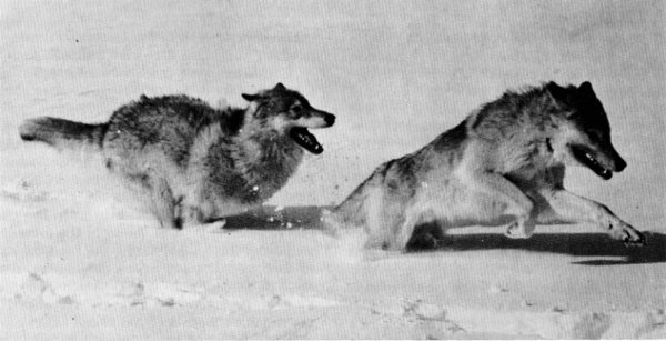 image055