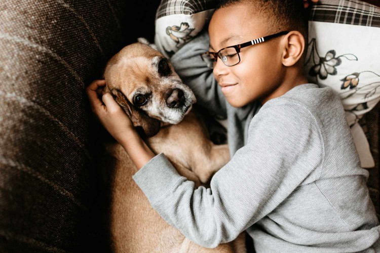 boy snuggling with dog; where to adopt dogs