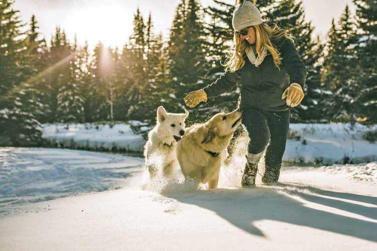 woman running in snow with her two dogs; why do dogs like snow?