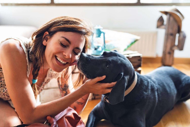 black dog licking happy woman on the cheek; national black dog day