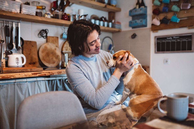 pet parent petting his dog in the kitchen