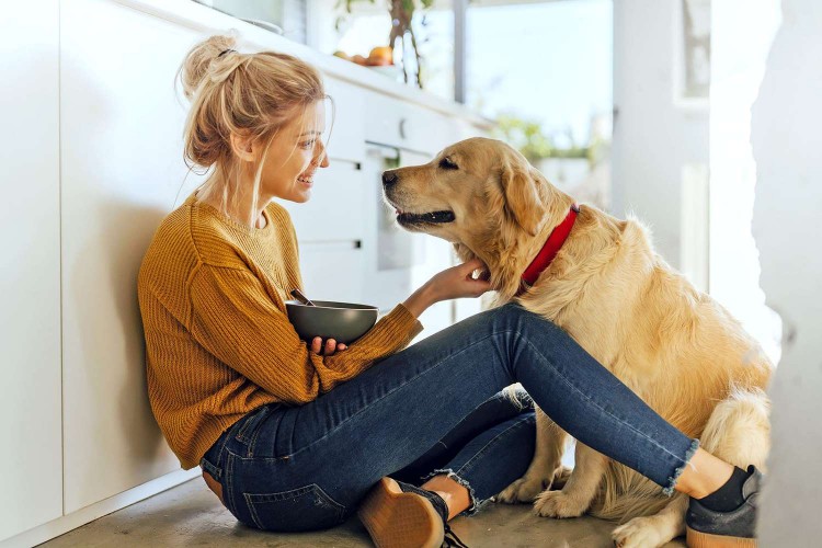 woman connecting with her senior golden retriever