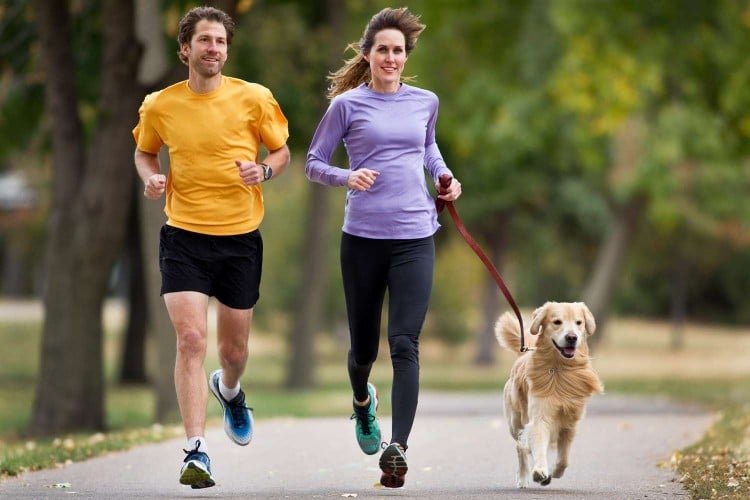 Joggers and Golden Retriever Running on a Paved Trail