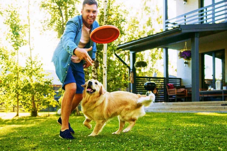 man throwing frisbee for dog