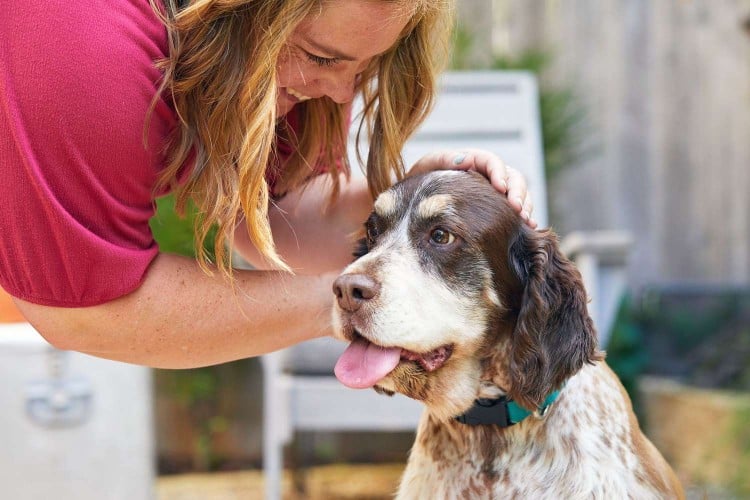 woman praising her older dog