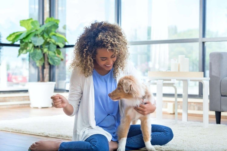 woman training her puppy in her living room