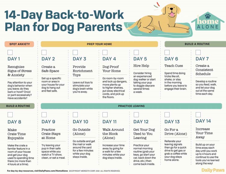 inforgraphic of a 14-Day Plan to going back to work