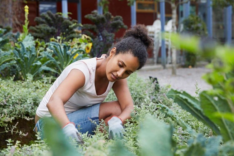 Black woman gardens outside