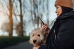 a woman looks at her phone with a golden doodle-type dog sitting in her lab