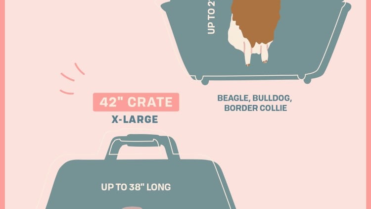 Graphic of the right crate size