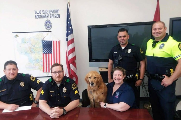 Therapy dog visits with police unit