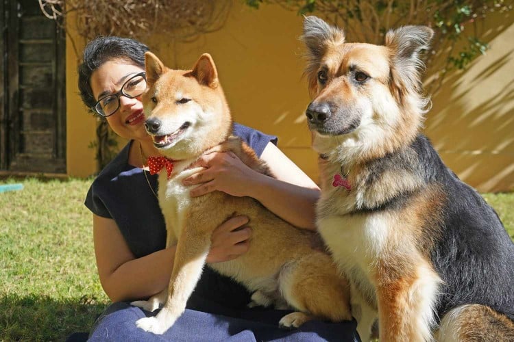 math dog sits in yard with his family