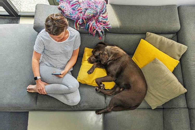 arial view of woman on her couch with her dog curled up, wonder if the dog has a false pregnancy