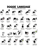 Understanding-Dog-Body-Language