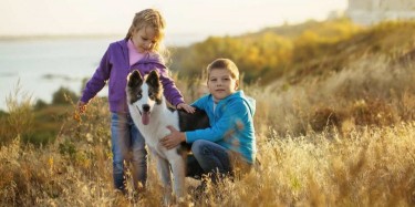 PSYCHOLOGICAL BASIS OF CHILDHOOD PETS