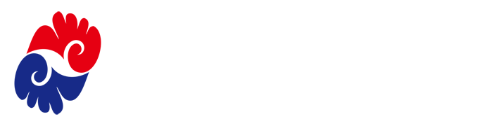 fastgame