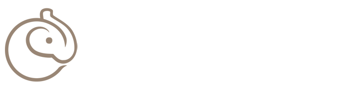 speedrungame