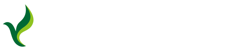 gamevisionariestop