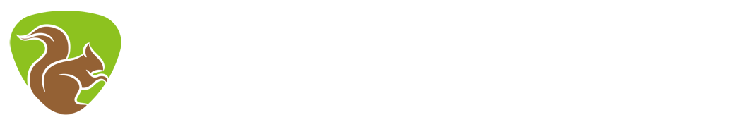 consultingmastersgroup