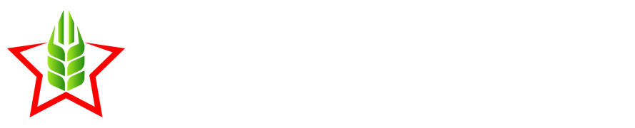 Free Online Games at playwavehub