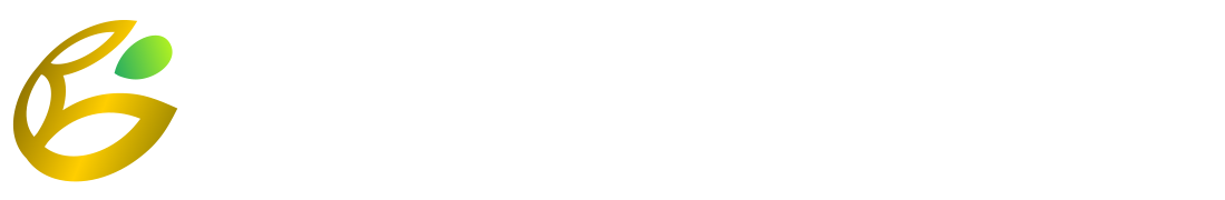 gamepulsequasar